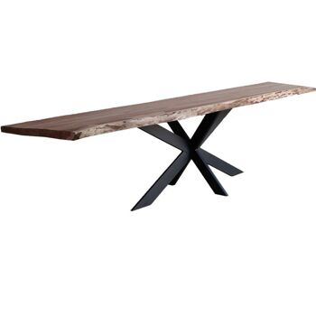 Table tronc d'arbre bois d'acacia 200x100cm avec patte d'araignée bois d'acacia étroit 200x100cm 493 1