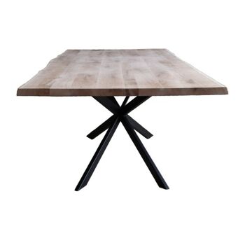 Table tronc d'arbre Chêne 200x100cm avec pied Mikado 260x100cm 519 2