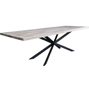 Table tronc d'arbre Chêne 200x100cm avec pied Mikado 300x100cm 521 1