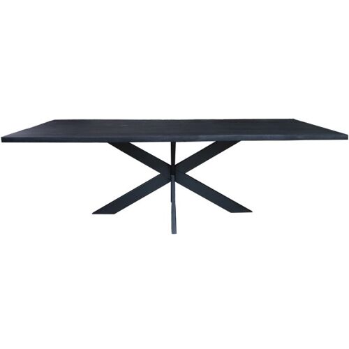 Eetkamertafel Mango NF 200x100cm met Splitpoot 200x100cm 686