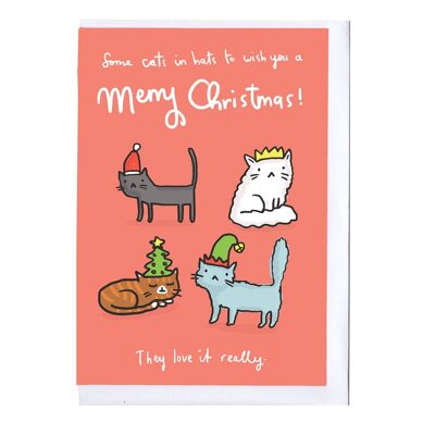 Cats in Hats Christmas Card