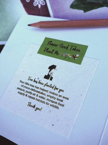 Carte d'anniversaire Eco Cat Cadeau de graines amical pour les abeilles. Annifursaire emballé 4