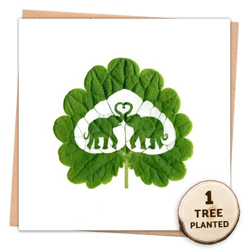 Eco Valentine's Card & Bee Friendly Seed Gift. Elephant Love Wrapped