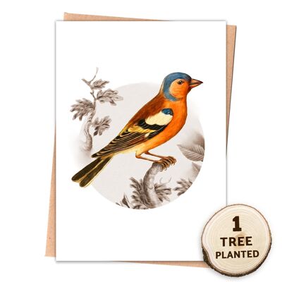 Carta Eco Bird riciclata e regalo di semi amiche delle api. Fringuello avvolto