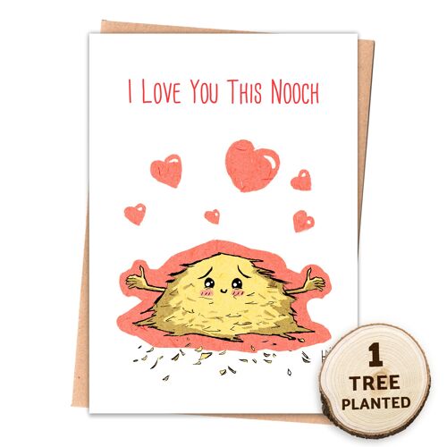 Eco Friendly Recycled Vegan Card & Bee Seed Gift. This Nooch Wrapped