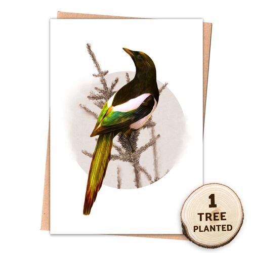 British Bird Nature Card, Bee Friendly Eco Seed Gift. Magpie Wrapped