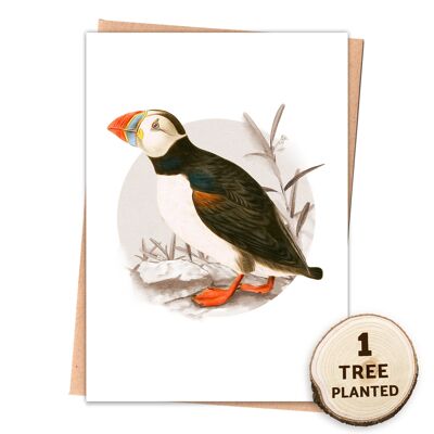 Carte d'oiseau de la faune et cadeau de graines de fleurs respectueux de l'environnement. Macareux enveloppé