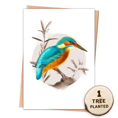 Carte d'oiseau nature et cadeau d'arbre et de graines respectueux de l'environnement. Martin-pêcheur enveloppé