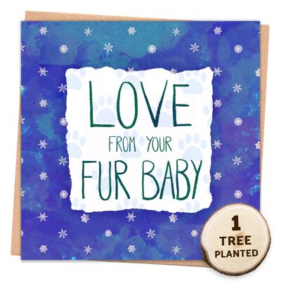 Zero Waste Dog Cat Card. Eco Seed Gift. Fur Baby Christmas Wrapped