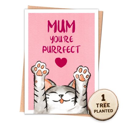 Umweltfreundliche Katzen-Muttertagskarte und Samengeschenk. Purrfect Mum Wrapped