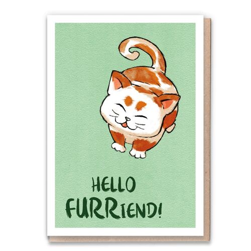 Eco Friendly Cat Card & Flower Seed Gift, Friend. Furriend Wrapped
