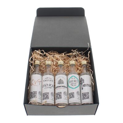 Coffret découverte Gin : Les saveurs primaires