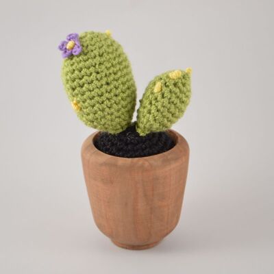 Cactus de ganchillo - Flores moradas