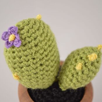 Cactus au crochet - Fleurs violettes 2