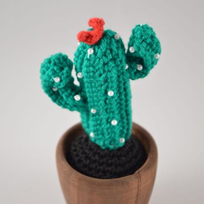 Cactus all'uncinetto - Fiori di perle