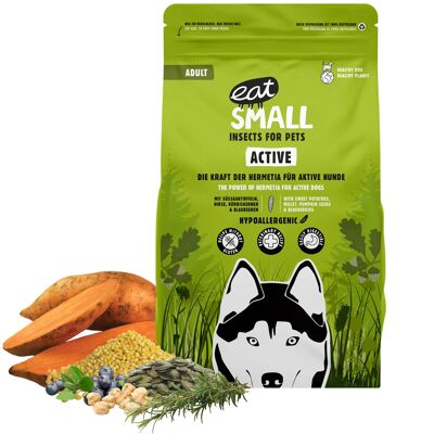 Dry food ACTIVE (FOREST) 10Kg