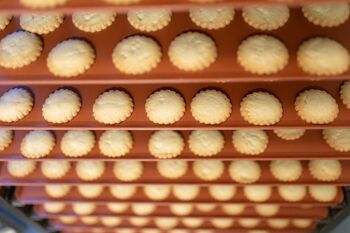 Biscuits apéritifs au Fromage de Brebis et Oignons, en étui 80g 2