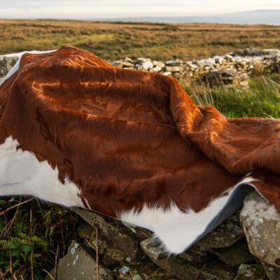 Alfombra Donegal de piel de vaca marrón y blanca