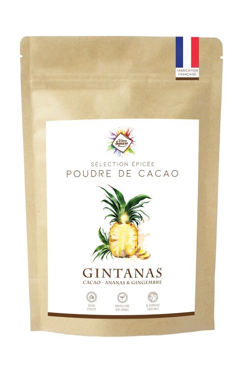 Gintanas - Poudre de cacao pour chocolat chaud à l'ananas et gingembre