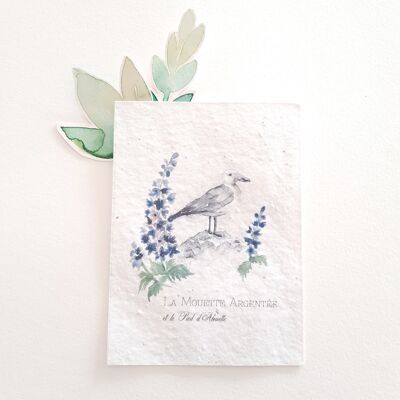 Seagull Plantable Postcard