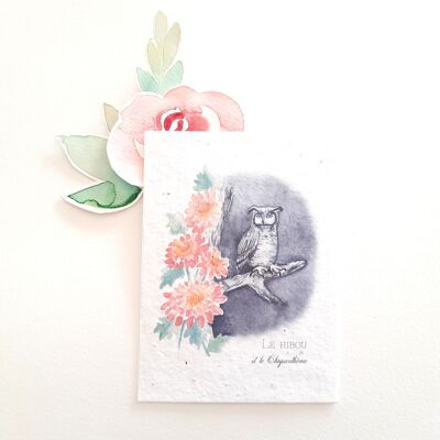 Postcard to plant owl