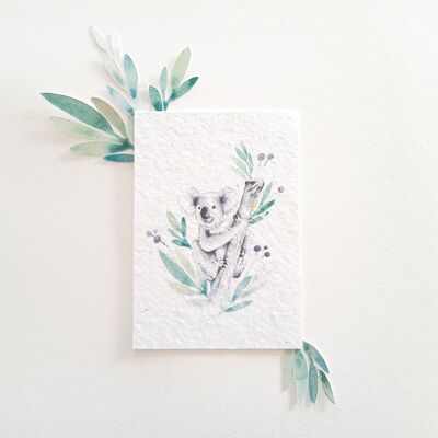 Postcard to plant koala