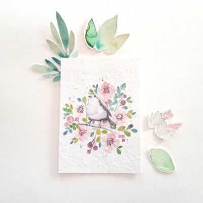 Postcard to plant robin