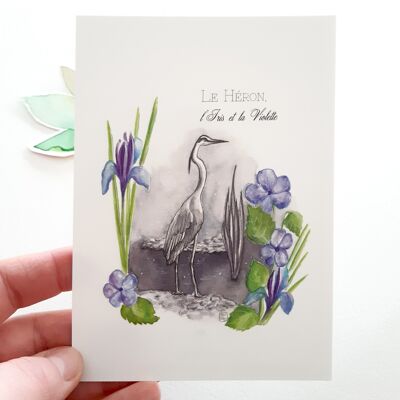 Carte Postale heron bleu