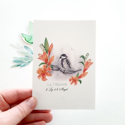 Chickadee-Postkarte