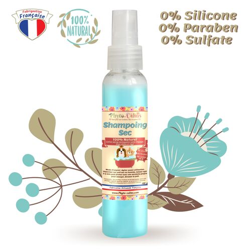 Shampoing Sans Rinçage / Lotion Désodorisante 100% Naturel