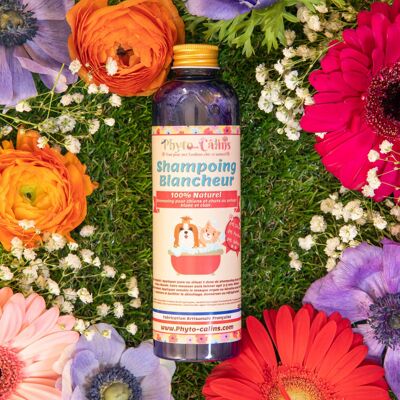 Champú 100% natural para pelaje blanco y ligero