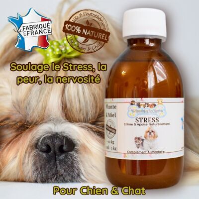 Anti Stress / Sirop 100% PHYTOTHERAPIE