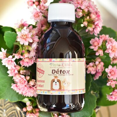 Détox Drainage Au Naturel / 100% Phytothérapie