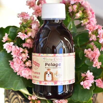 Beauty of the coat 100% Phytotherapy Food supplement