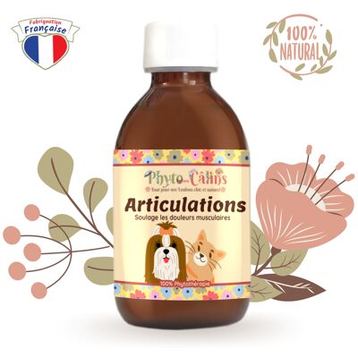Soulage les douleurs articulaire / Sirop 100% Phytothérapie