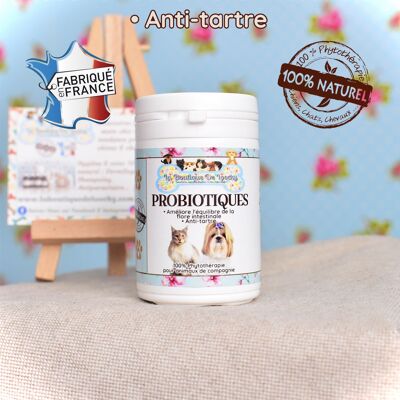 Probiótico 100 % natural/soporte para la flora intestinal