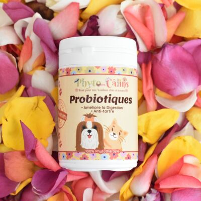 100% Probiotico Naturale/Supporto Della Flora Intestinale