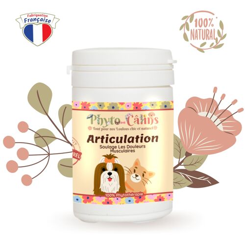 Harpagophytum / Soulage douleur articulaire 100% pure