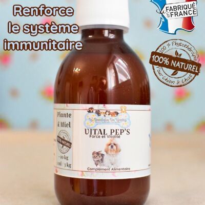 Strengthens immune defenses / 100% phytotherapy syrup
