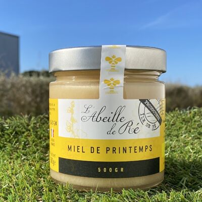 Miel de Primavera - 500g