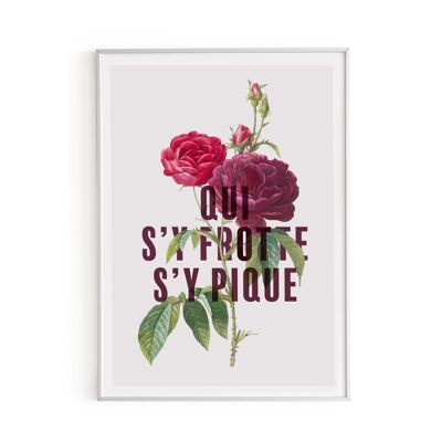 Affiche Qui s'y frotte...