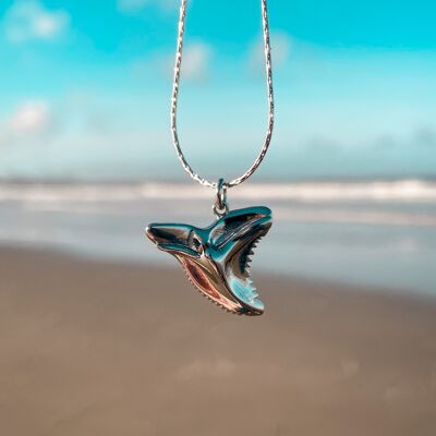 Collana con dente di squalo oceanico in argento