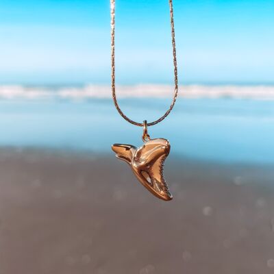 Collier Dent De Requin Océan Doré