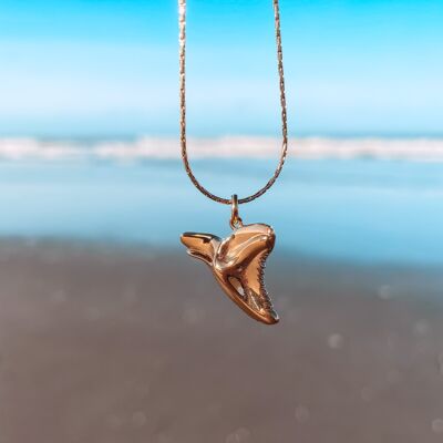 Ocean Shark Tooth Necklace Gold