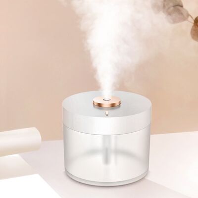 Draadloze diffuser goud