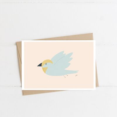 Carte Birdy