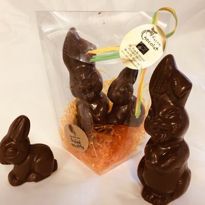 Cioccolatini PASQUA BIO - Pollo o Pesce o Coniglio 60g - Cioccolato pralinato alla nocciola