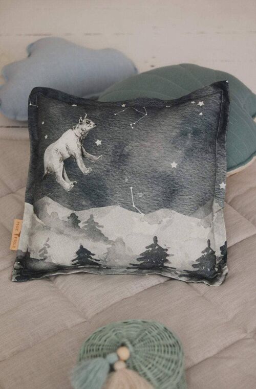 “Night sky” Pillow