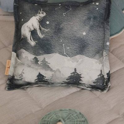 “Night sky” Pillow