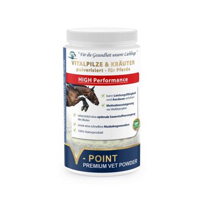 HIGH Performance - additional feed for training horses